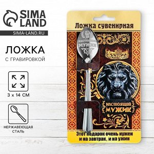 Ложка чайная с гравировкой «Настоящий мужик», на подарочной открытке, 3x14 см