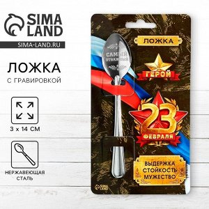 Ложка чайная с гравировкой «Герой», 3x14 см