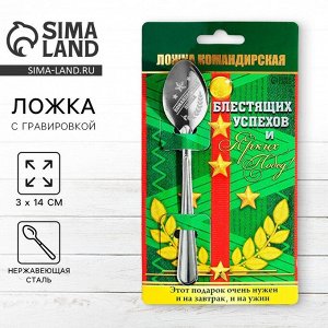 Ложка чайная с гравировкой «Командирская Ложка», на подарочной открытке, 3x14 см