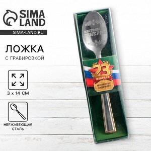 Ложка чайная с гравировкой «Настоящему защитнику. 23 февраля», в подарочной коробке, 3x14 см