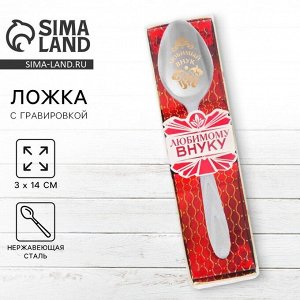 Ложка чайная с гравировкой «Любимый внук», в подарочной коробке, 3x14 см