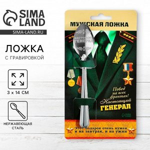 Ложка чайная с гравировкой «Настоящий генерал», на подарочной открытке, 3x14 см