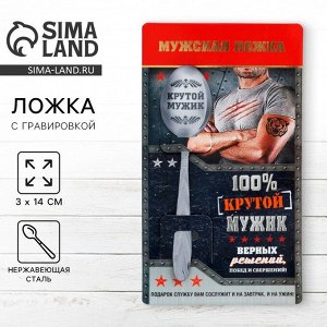 Ложка чайная с гравировкой «100% крутой мужик», 3x14 см