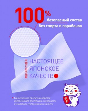 Салфетки влажные антибактериальные INSHIRO в индивидуальной упаковке 10 шт/упак.