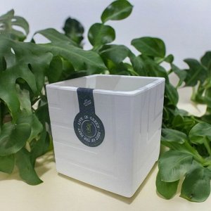 Горшок для цветов (с вкладкой) БЕЛЫЙ, 1.2 л, диаметр 11.5 см, высота 12 см, пластиковый, КВАДРО