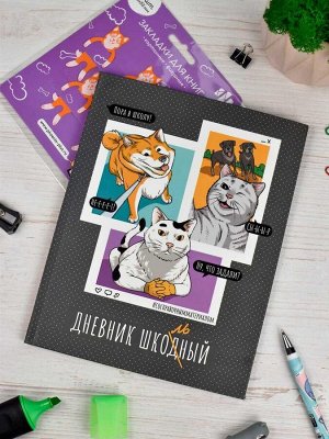 Дневник школьный, А5+, 48 л, интегральный переплёт, выборочный УФ-лак, матовая ламинация