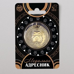 ВЫВОДИМ Адресник под гравировку "Питбуль", 4,5 см   5493523