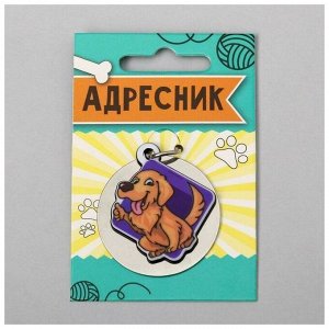 ВЫВОДИМ Адресник под гравировку + подвес акрил "Барбос",  4*4 см   5231505
