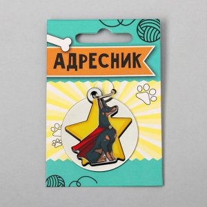 ВЫВОДИМ Адресник под гравировку + подвес акрил "Доберман",  4*4 см   5231507