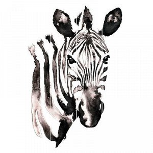 Картина на досках 40х60см "Голова зебры", сосна (Россия)