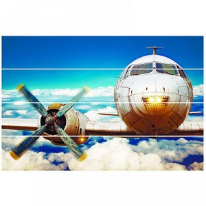 Картина на досках 40х60см "Самолет", сосна (Россия)