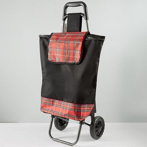 Тележка багажная ручная 25 кг (сумка), 50 кг (каркас) ТБР-21 черная с красным