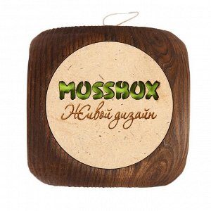 ЭкоКуб для выращивания "MossBox Fire Green Dice мох стабилизированный"