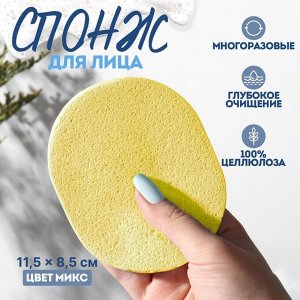 Спонж для умывания «Умывашка», 11,5 x 8,5 см, цвет МИКС