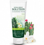 DEOPROCE NATURAL PERFECT SOLUTION CLEANSING FOAM MILD Мягкая пенка с экстрактами кактуса, ромашки