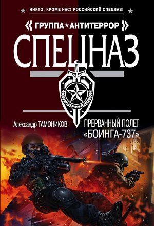 Тамоников А.А. Прерванный полет «Боинга-737»