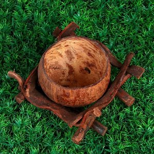 Цветочница, одноместная, 14-14 см, лянь, кокосовая скорлупа