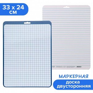 Доска маркерная A4 (33x24 см) Calligrata, двусторонняя: клетка/линейка, синяя