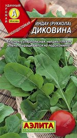 Индау (руккола) Диковина (2023; 22.139.11)