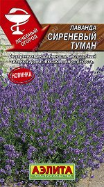 Лаванда Сиреневый туман (2023; 17.275.01)