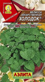 Мелисса лекарственная Холодок (2023; 17.260.04)