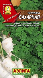 Петрушка корневая Сахарная (2024; 15.01.33)