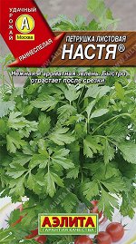 Петрушка листовая Настя (2023; 15.21.08)