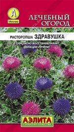 Расторопша пятнистая Здравушка (2024; 17.71.03)