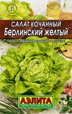 Салат Берлинский желтый кочанный (2023; 22.01.32)