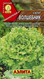 Салат Волшебник полукочанный (2023; 22.46.14)
