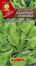 Салат Сахарные ломтики (цикорий) (2023; 22.97.02)