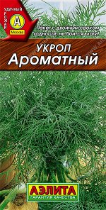 Укроп Ароматный (2024; 30.12.11)