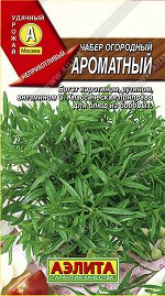 Чабер огородный Ароматный (2023; 17.193.08)