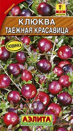 Клюква крупноплодная Таежная красавица (2023; 17.232.10)