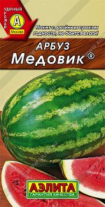 Арбуз Медовик (2024; 01.27.06)