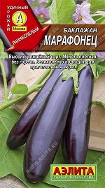 Баклажан Марафонец (2023; 02.24.07)