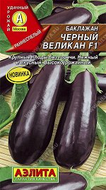 Баклажан Черный великан F1 (2023; 02.67.03)