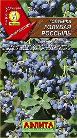 Голубика Голубая россыпь (2023; 17.231.08)