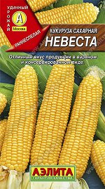 Кукуруза сахарная Невеста (2023; 17.92.03)