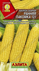 Кукуруза сахарная Ранняя лакомка  121 (2023; 17.46.27)