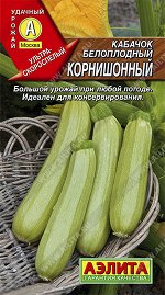 Кабачок белоплодный Корнишонный (2024; 07.105.01)