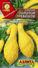 Кабачок Золотой гребешок (2024; 07.47.07)