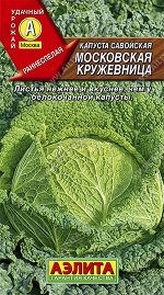 Капуста савойская Московская кружевница (2023; 08.189.09)