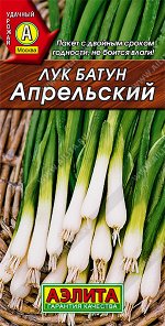Лук батун Апрельский (2023; 10.07.61)
