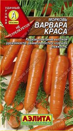 Морковь Варвара краса (2023; 11.157.08)