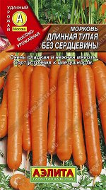 Морковь Длинная тупая без сердцевины (2023; 11.125.02)