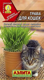 Трава для кошек (2023; 17.29.28)