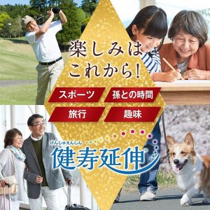 FINE JAPAN Fushibushi No Megumi 100 days - комплекс для здоровых суставов на 100 дней