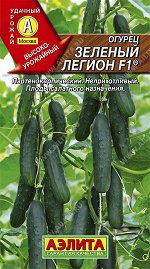 Огурец Зеленый легион F1 (2023; 12.443.04)