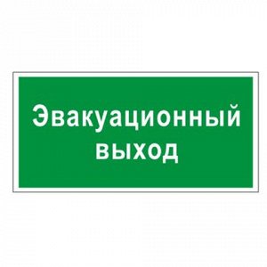 Знак вспомогательный "Эвакуационный выход", прямоугольник 30